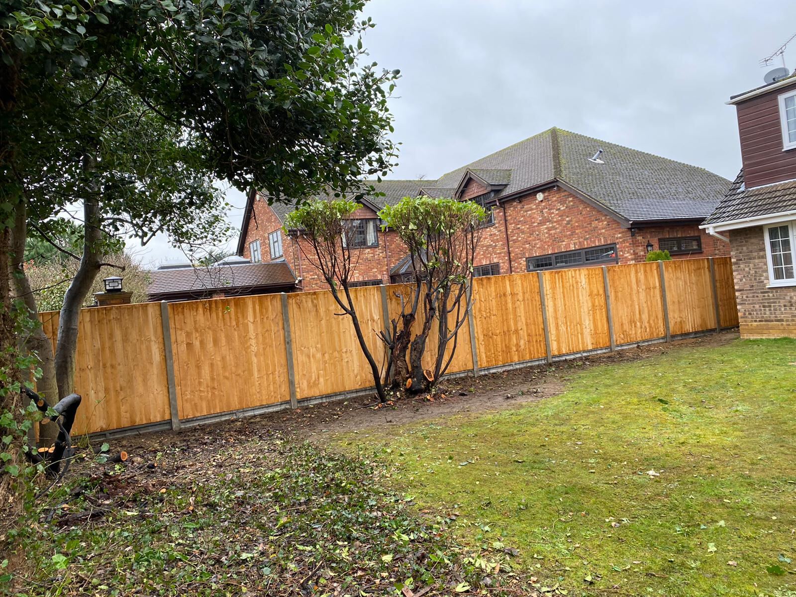 New closeboard fence along a garden boundary