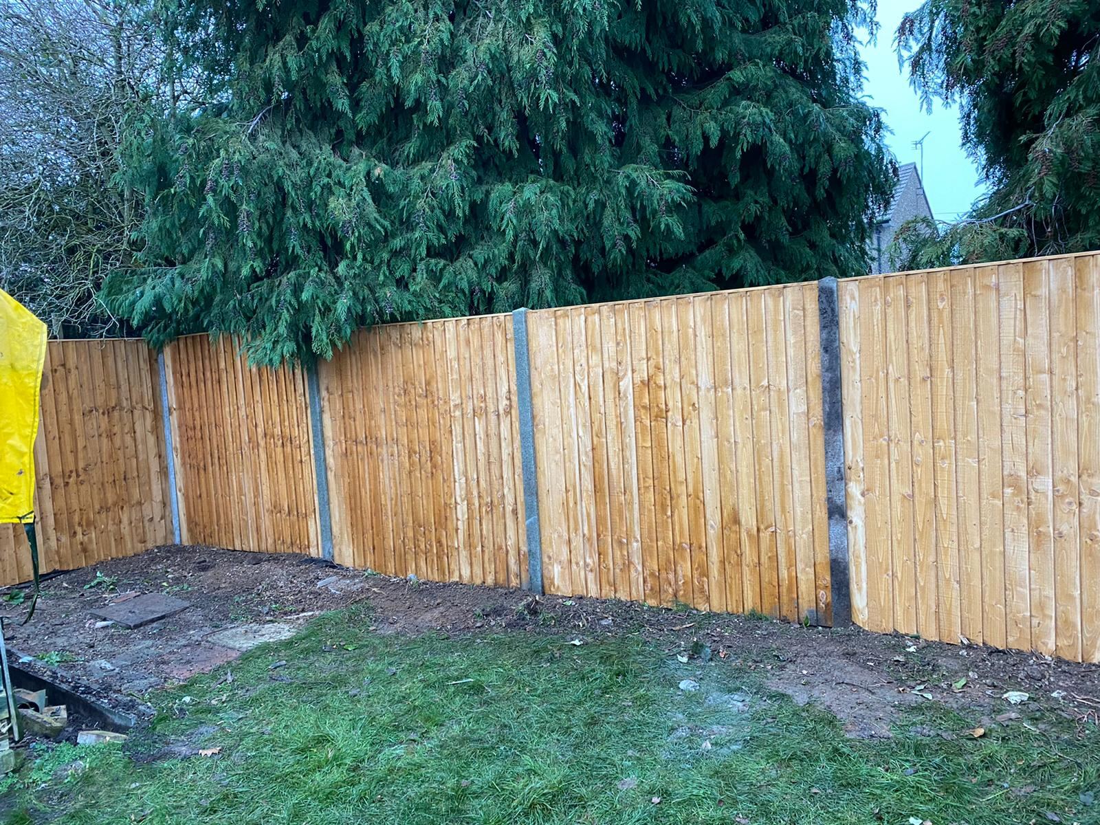 Featheredge fence along a woodland boundary
