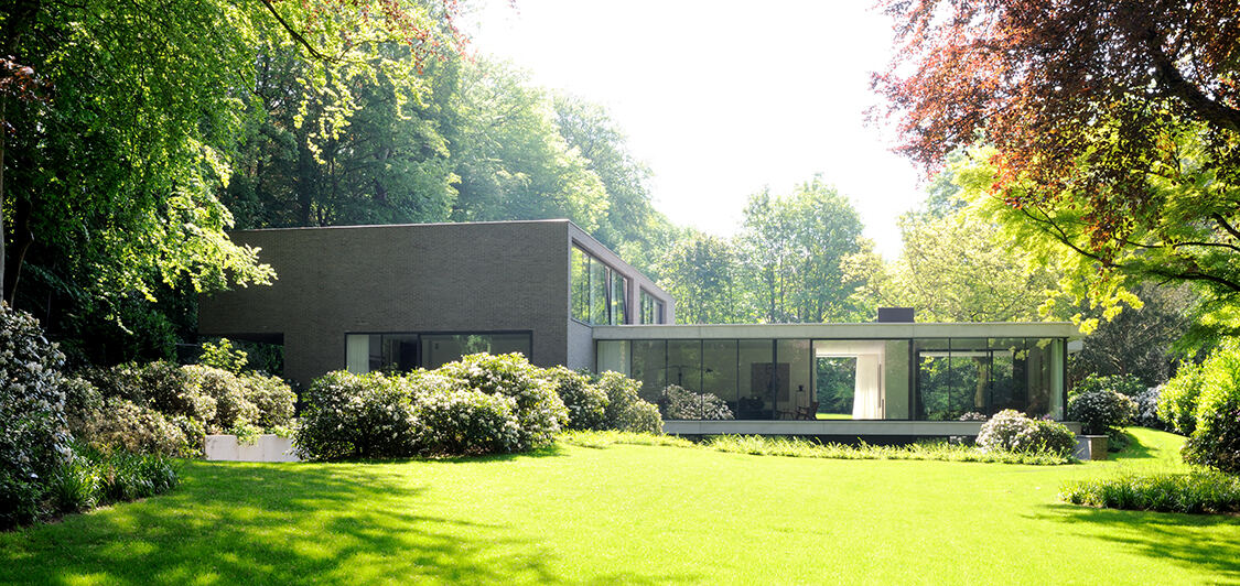 Lawn and mature trees in a landscaped garden